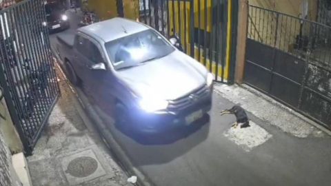 Alcaldía de Guayaquil reportó 65.916 atenciones a mujeres entre 2023 y 2026