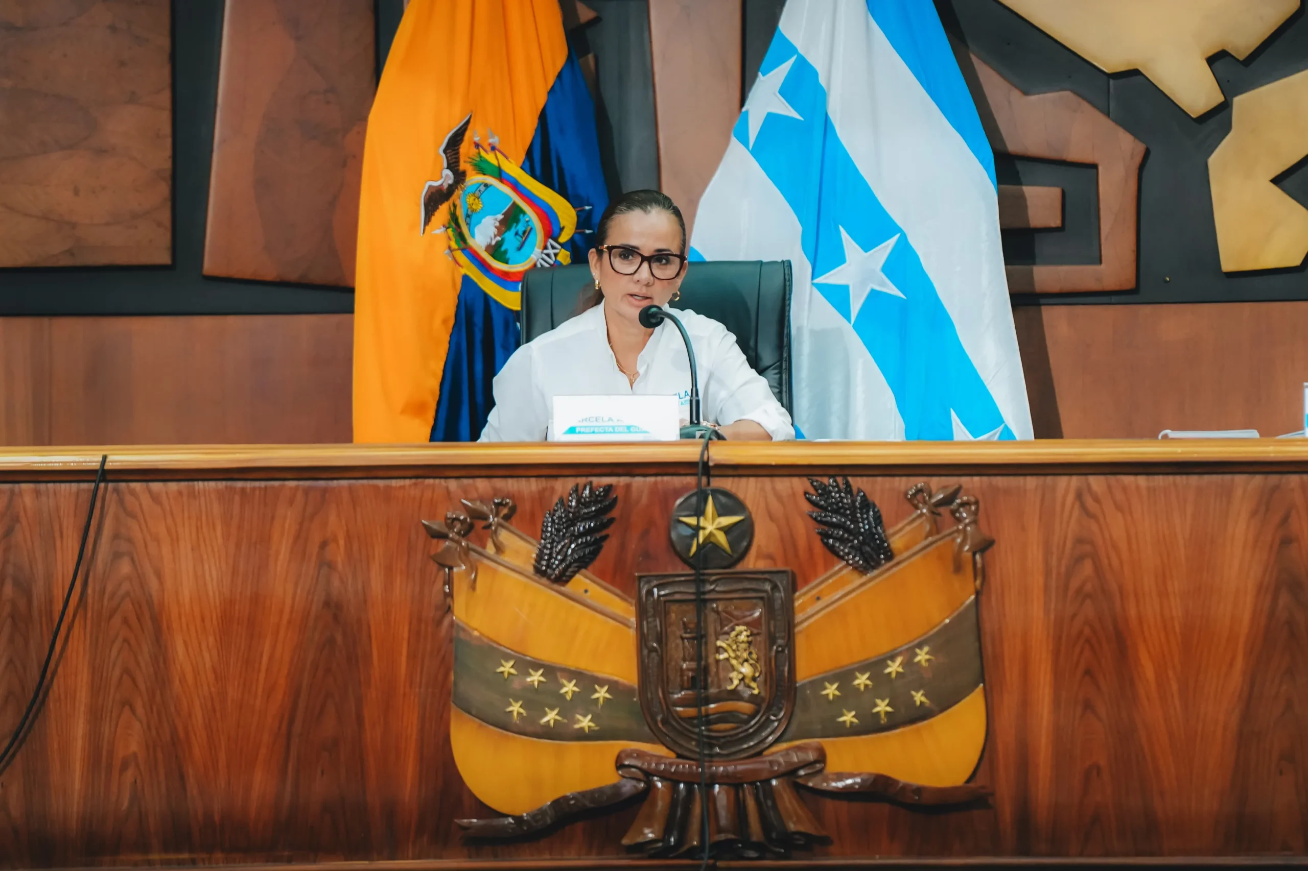 Prefectura del Guayas activa 15 frentes de emergencia ante alerta naranja por lluvias