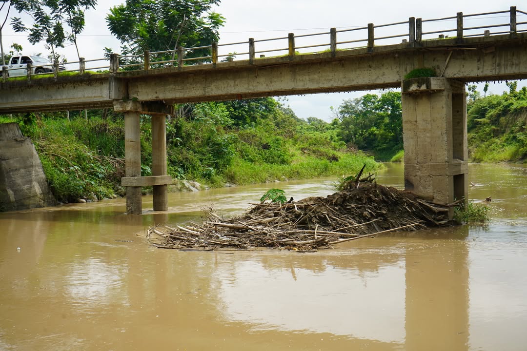 Alcaldía de Balzar retira palizada del río Hacha para evitar inundaciones