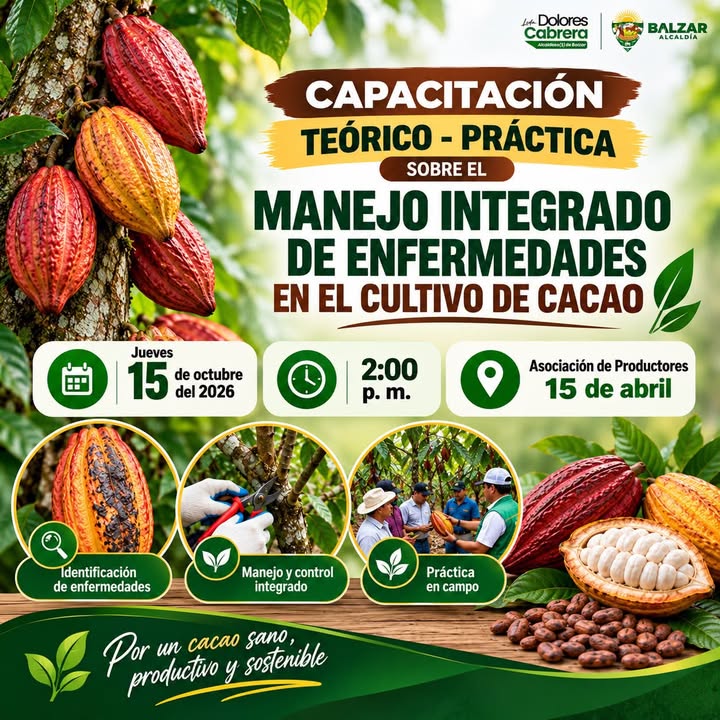 Capacitación en Balzar enseña a productores técnicas para combatir enfermedades del cacao