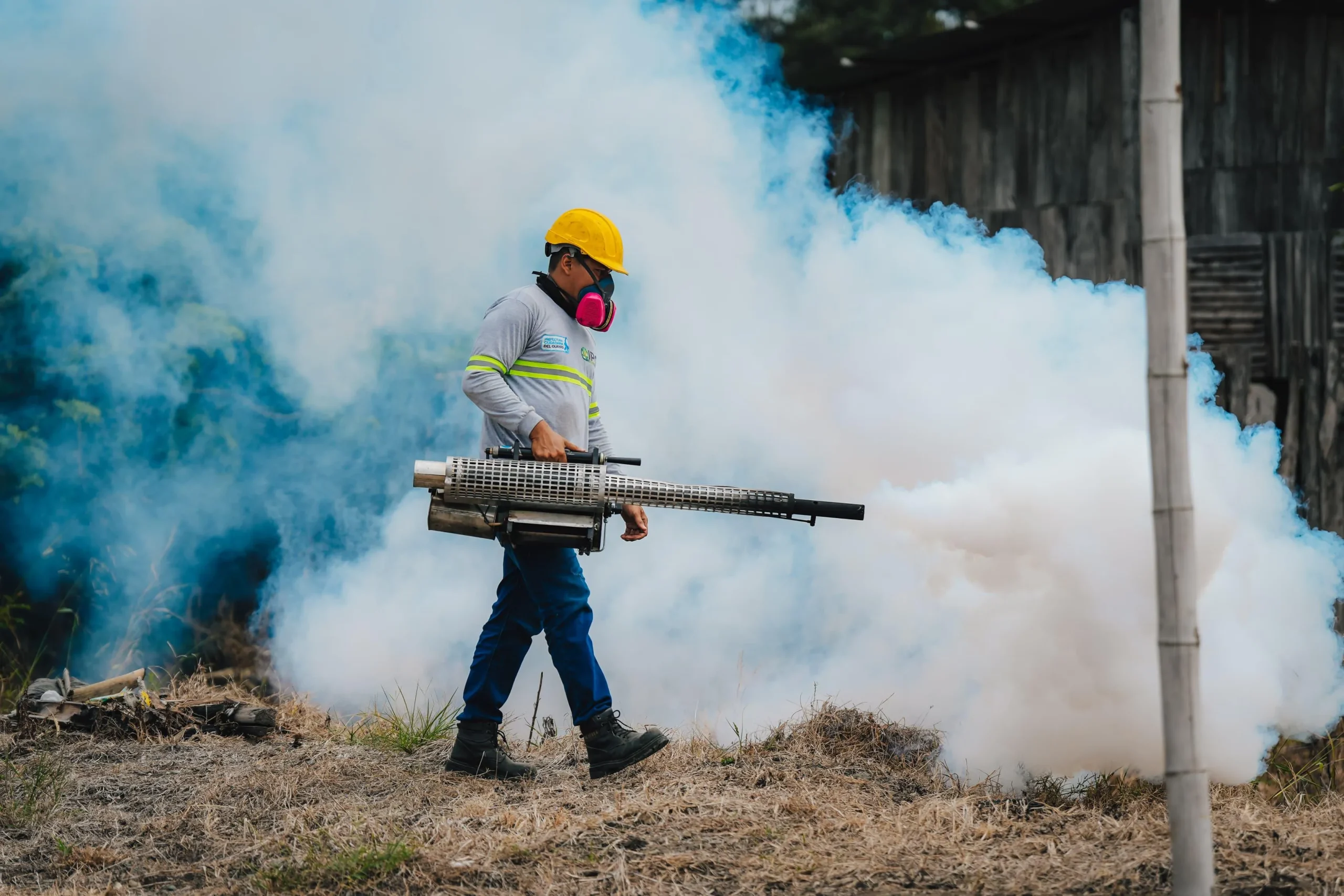 Prefectura del Guayas despliega brigadas contra la leptospirosis en Balzar